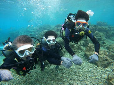 沖縄マリンサービス碧に投稿された画像（2023/3/14）