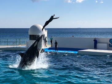 鴨川シーワールドに投稿された画像（2023/3/14）