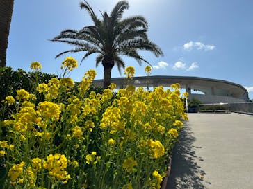 鴨川シーワールドに投稿された画像（2023/3/14）