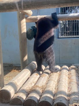 東武動物公園に投稿された画像（2023/3/14）