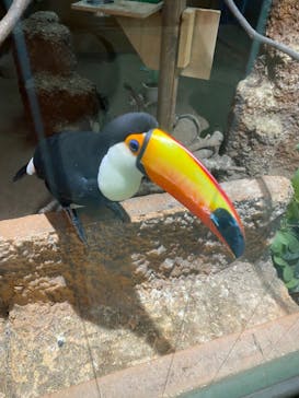 東武動物公園に投稿された画像（2023/3/14）