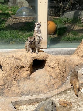 東武動物公園に投稿された画像（2023/3/14）