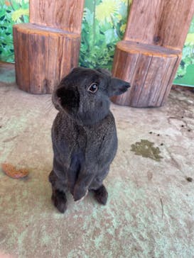 那須サファリパークに投稿された画像（2023/3/14）