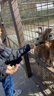 那須サファリパークに投稿された画像（2023/3/14）