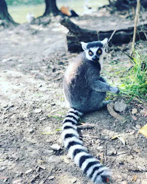 神戸どうぶつ王国に投稿された画像（2023/3/14）