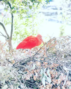 神戸どうぶつ王国に投稿された画像（2023/3/14）