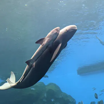 仙台うみの杜水族館に投稿された画像（2023/3/14）