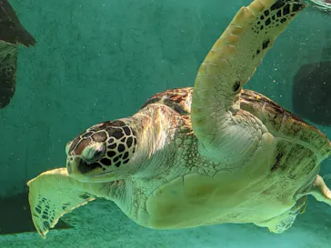 仙台うみの杜水族館に投稿された画像（2023/3/14）