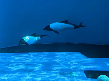 仙台うみの杜水族館に投稿された画像（2023/3/14）