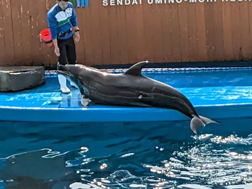 仙台うみの杜水族館に投稿された画像（2023/3/14）