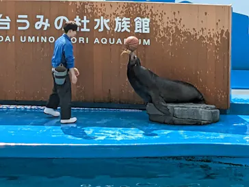 仙台うみの杜水族館に投稿された画像（2023/3/14）
