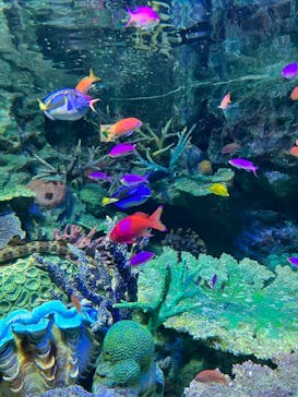 サンシャイン水族館に投稿された画像（2023/3/15）