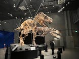 特別展「恐竜博2023」に投稿された画像（2023/3/15）