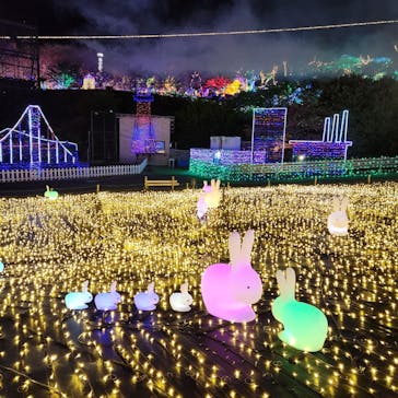 伊豆ぐらんぱる公園に投稿された画像（2023/3/15）