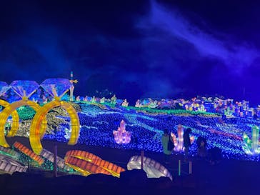 伊豆ぐらんぱる公園に投稿された画像（2023/3/15）