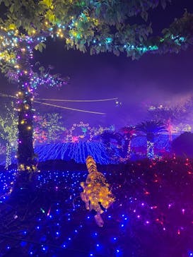 伊豆ぐらんぱる公園に投稿された画像（2023/3/15）