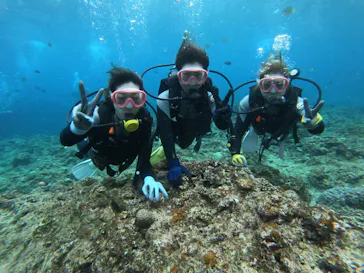 武藤潜水に投稿された画像（2023/3/15）