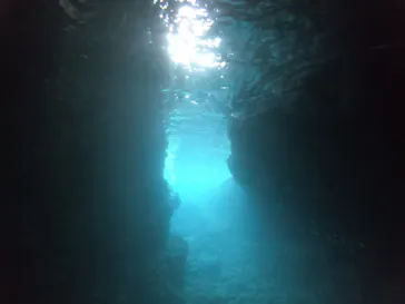 武藤潜水に投稿された画像（2023/3/15）