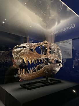 特別展「恐竜博2023」に投稿された画像（2023/3/15）
