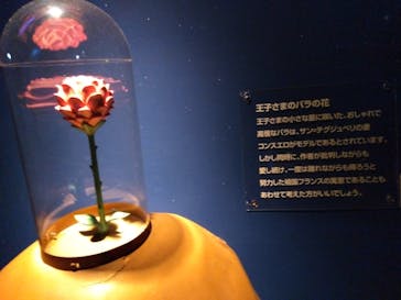 星の王子さまミュージアム 箱根サン=テグジュペリに投稿された画像（2023/3/15）