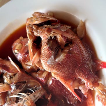 沖縄海うさぎ・海あしびに投稿された画像（2023/3/15）