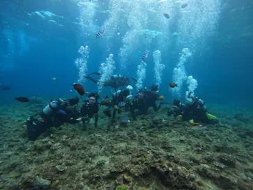 武藤潜水に投稿された画像（2023/3/15）