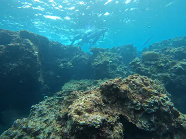 武藤潜水に投稿された画像（2023/3/15）