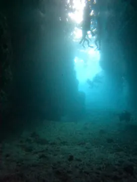 武藤潜水に投稿された画像（2023/3/15）