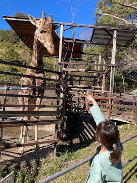 長崎バイオパークに投稿された画像（2023/3/15）