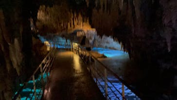 おきなわワールドに投稿された画像（2023/3/15）