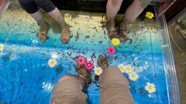 おきなわワールドに投稿された画像（2023/3/15）