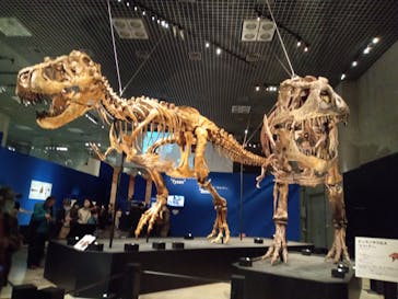 特別展「恐竜博2023」に投稿された画像（2023/3/15）