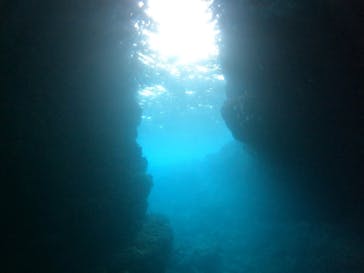 沖縄マリンサービス碧に投稿された画像（2023/3/15）