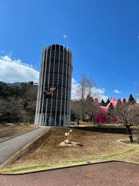 彫刻の森美術館に投稿された画像（2023/3/15）