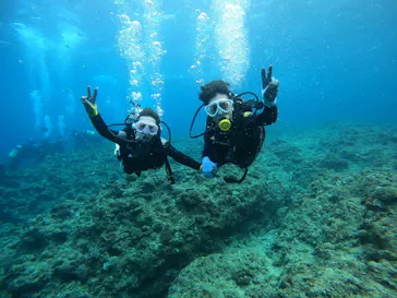 武藤潜水に投稿された画像（2023/3/15）