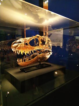 特別展「恐竜博2023」に投稿された画像（2023/3/15）