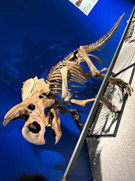 特別展「恐竜博2023」に投稿された画像（2023/3/15）