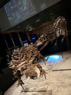 特別展「恐竜博2023」に投稿された画像（2023/3/15）
