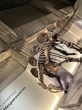 特別展「恐竜博2023」に投稿された画像（2023/3/15）