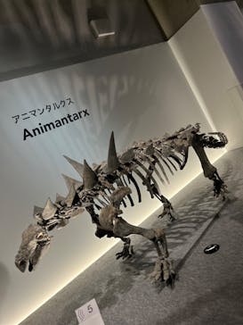 特別展「恐竜博2023」に投稿された画像（2023/3/15）