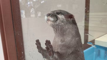 ゼロ距離水族館 伊勢シーパラダイスに投稿された画像（2023/3/15）