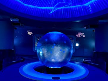 新江ノ島水族館に投稿された画像（2023/3/15）