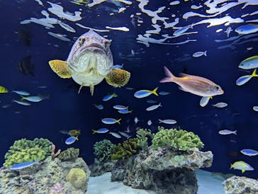 マリンワールド海の中道に投稿された画像（2023/3/15）