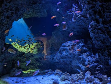 マリンワールド海の中道に投稿された画像（2023/3/15）