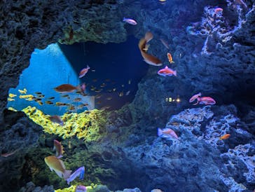 マリンワールド海の中道に投稿された画像（2023/3/15）