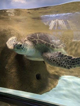 マリンワールド海の中道に投稿された画像（2023/3/15）