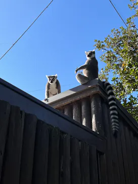 神戸どうぶつ王国に投稿された画像（2023/3/15）