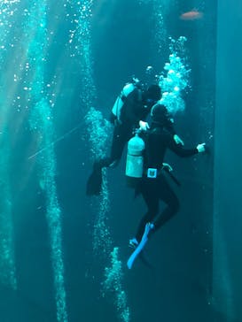 環境水族館アクアマリンふくしまに投稿された画像（2023/3/15）