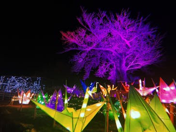 伊豆ぐらんぱる公園に投稿された画像（2023/3/15）