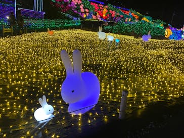 伊豆ぐらんぱる公園に投稿された画像（2023/3/15）